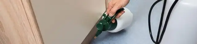 Bed bug exterminator treating baseboards and cracks with targeted spray in Lincoln, NE