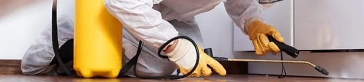 Roach exterminator treating cracks and crevices along kitchen baseboards in Lincoln, NE