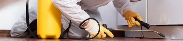 Roach exterminator treating cracks and crevices along kitchen baseboards in Lincoln, NE