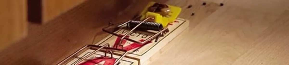 Rodent trap set indoors for rodent control and prevention in Lincoln, NE